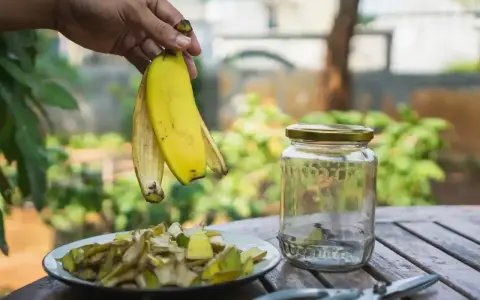Ręka trzyma skórki bananów nad talerzem z ich kawałkami. Obok stoi słoik, gotowy na nawóz z bananów do jakich roślin.