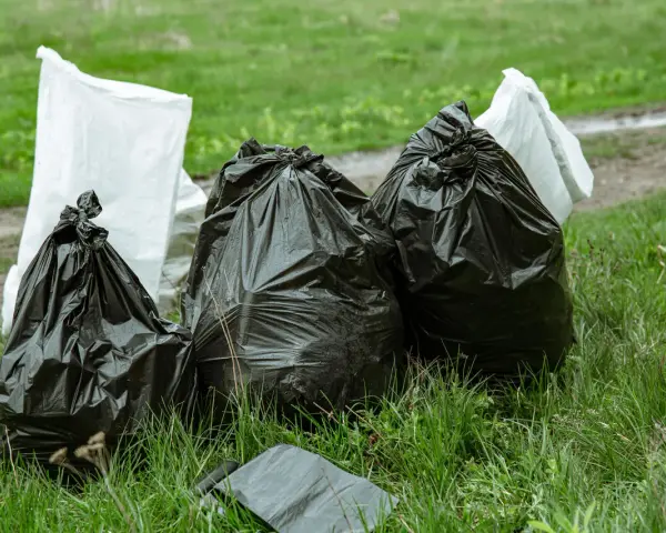 Workmen's bags of garden waste, including branches, sit on the grass. Czy można wywieźć gałęzie do lasu? This is not the right place.