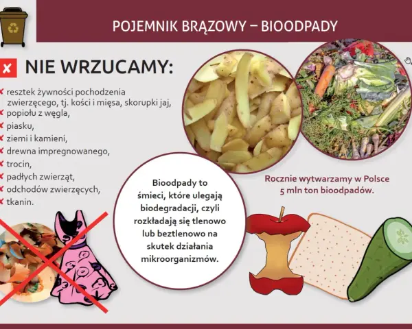 Grafika informuje o tym, co wrzucać do brązowego pojemnika na bioodpady. Pokazuje resztki warzyw, owoców i inne odpady organiczne, które ulegają biodegradacji.