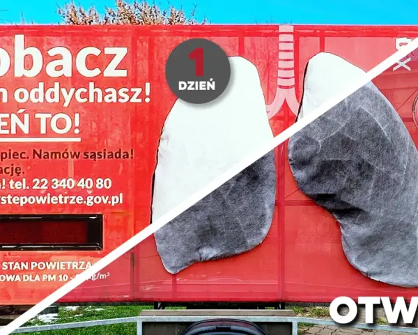 Smog a płuca: Jak zanieczyszczenia niszczą Twój układ oddechowy?