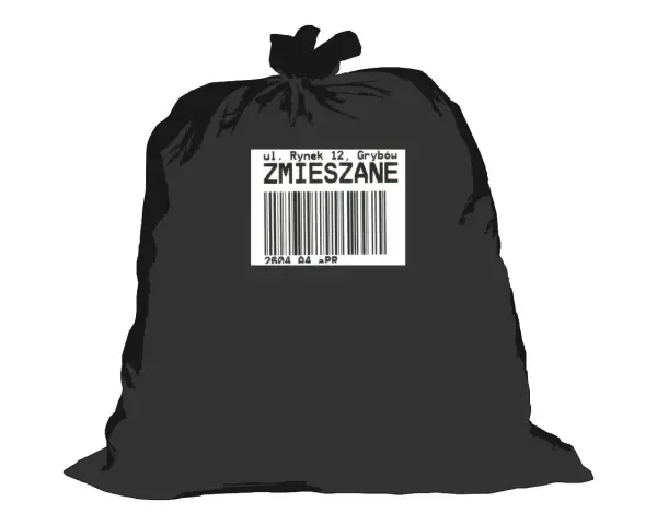 Śmieci zmieszane: czarny worek. Co wrzucać, by nie płacić kar?