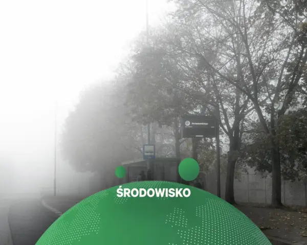 Mglisty krajobraz miejski z drzewami i znakiem Arciszewskiego.
