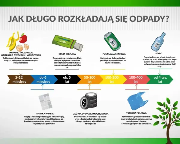 Zaskakujący czas rozkładu odpadów: Co możesz zrobić?