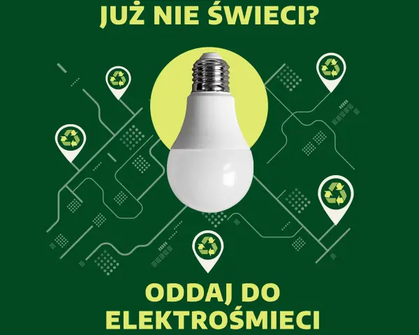 Gdzie wyrzucić żarówki? Segreguj dobrze, oszczędź 5000 zł!