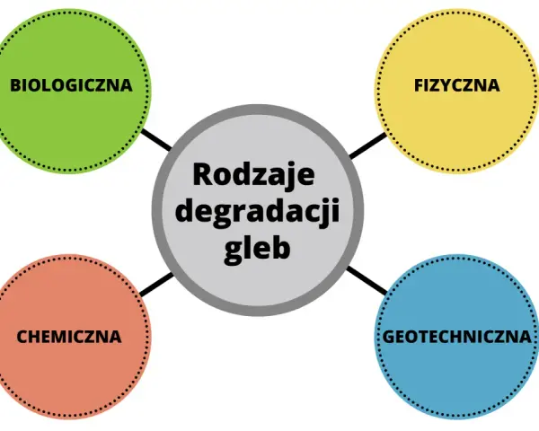 Cichy zabójca gleby: Skąd toksyny i jak chronić Twoją ziemię?
