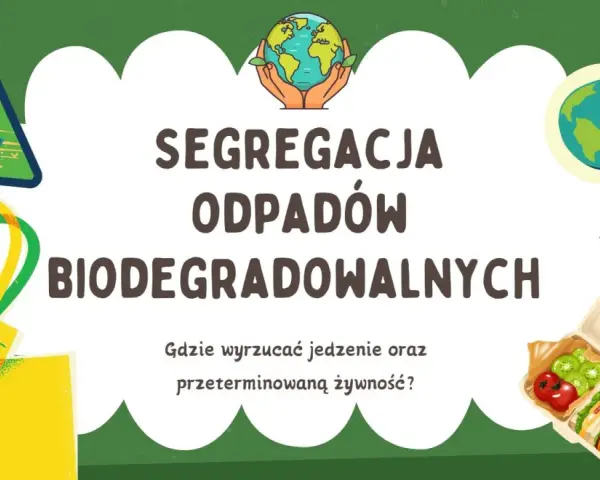Jak segregować resztki jedzenia? BIO, zmieszane i trudne odpady
