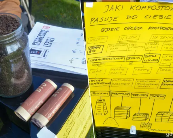 Gdynia jak segregować śmieci? Schemat podpowiada, jaki kompostownik wybrać, zależnie od miejsca i ilości odpadów.