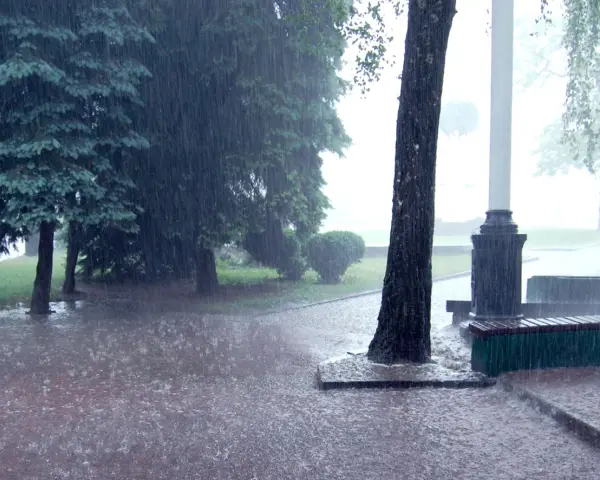 Intensywny deszcz nawalny zalewa parkową alejkę i trawnik. Drzewa pochylają się pod naporem wody.