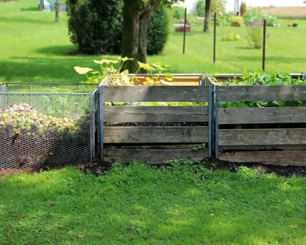 Recykling w ogrodzie: Zmień odpady w skarb! Poradnik DIY