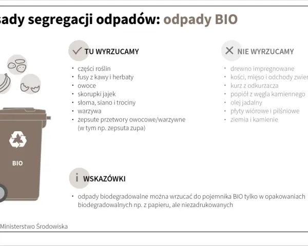 Gdzie wyrzucać torebki po herbacie? Do pojemnika BIO wrzucamy fusy z kawy i herbaty, owoce, warzywa i resztki roślin.