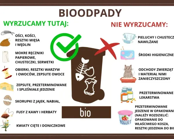 Gdzie wyrzucać resztki jedzenia? Do bio trafiają kości, obierki, fusy, zepsute jedzenie. Nie wyrzucaj pieluch, środków higienicznych ani odchodów zwierząt.