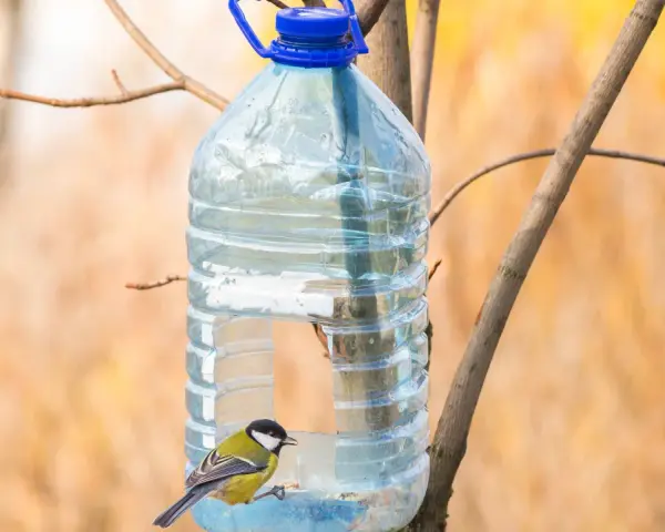 Twoje śmieci = ptasi skarb! Karmnik z recyklingu DIY krok po kroku