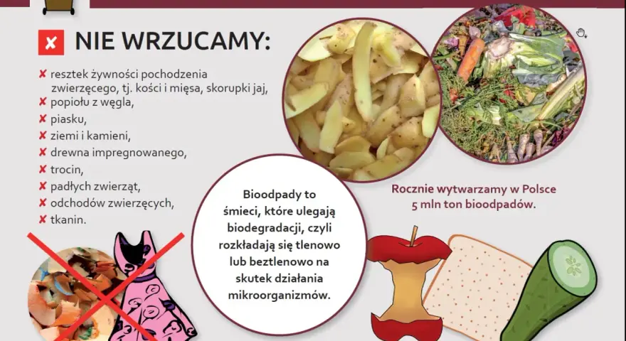 Grafika informuje o tym, co wrzucać do brązowego pojemnika na bioodpady. Pokazuje resztki warzyw, owoców i inne odpady organiczne, które ulegają biodegradacji.