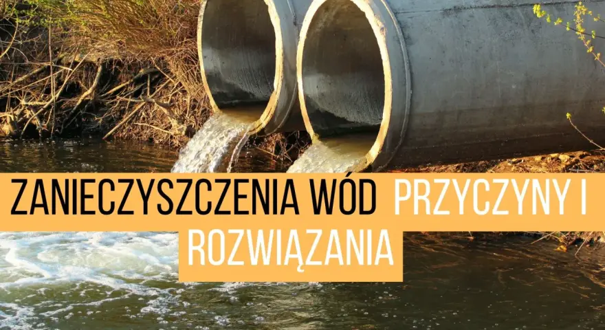 Jakie są zanieczyszczenia wody? Rodzaje, źródła, skutki i nowe zagrożenia