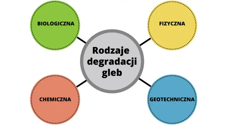 Cichy zabójca gleby: Skąd toksyny i jak chronić Twoją ziemię?