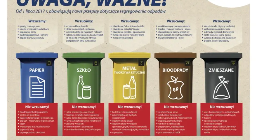 Sortowanie śmieci: JSSO, pułapki i kary. Co musisz wiedzieć?