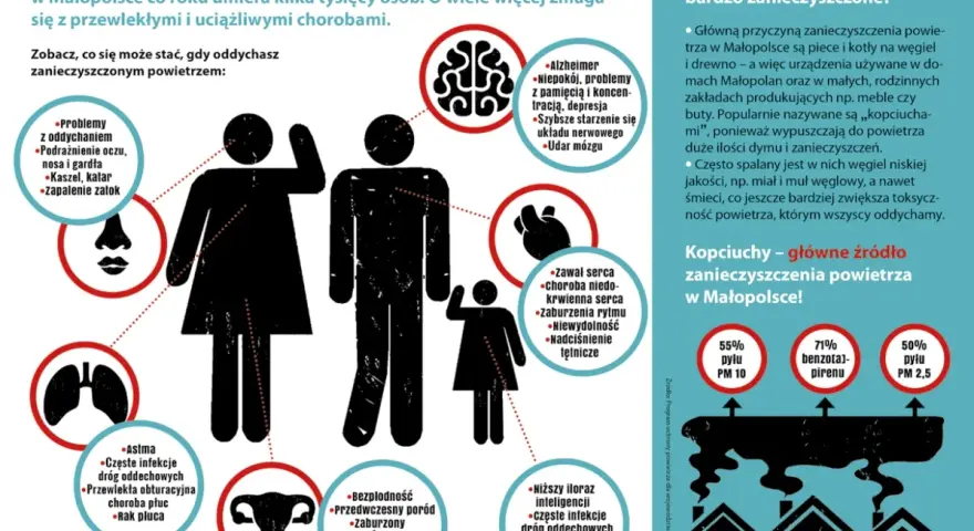 Ilustracja przedstawia sylwetki ludzi i narządów wewnętrznych z zaznaczonymi negatywnymi skutkami zanieczyszczenia powietrza.