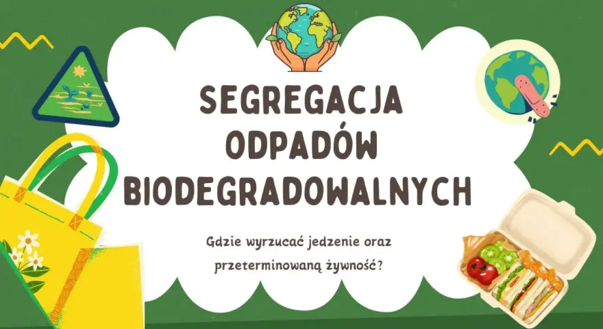 Jak segregować resztki jedzenia? BIO, zmieszane i trudne odpady