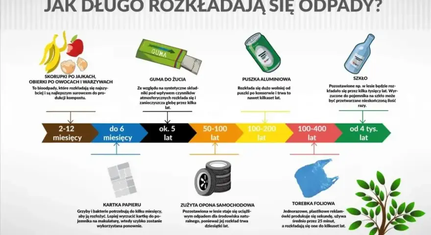 Jak długo rozkłada się papier? Kartka papieru potrzebuje kilku miesięcy na rozkład, ale lepiej ją poddać recyklingowi.