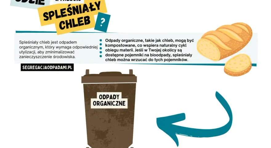 Spleśniały chleb to odpad organiczny. Gdzie wyrzucić spleśniały chleb? Do pojemnika na bioodpady, jeśli jest dostępny.