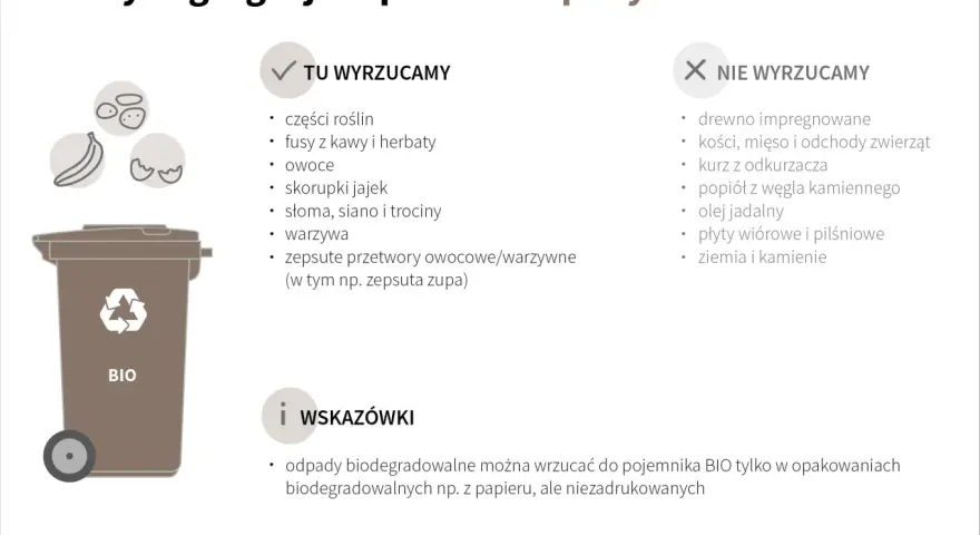 Gdzie wyrzucać torebki po herbacie? Do pojemnika BIO wrzucamy fusy z kawy i herbaty, owoce, warzywa i resztki roślin.