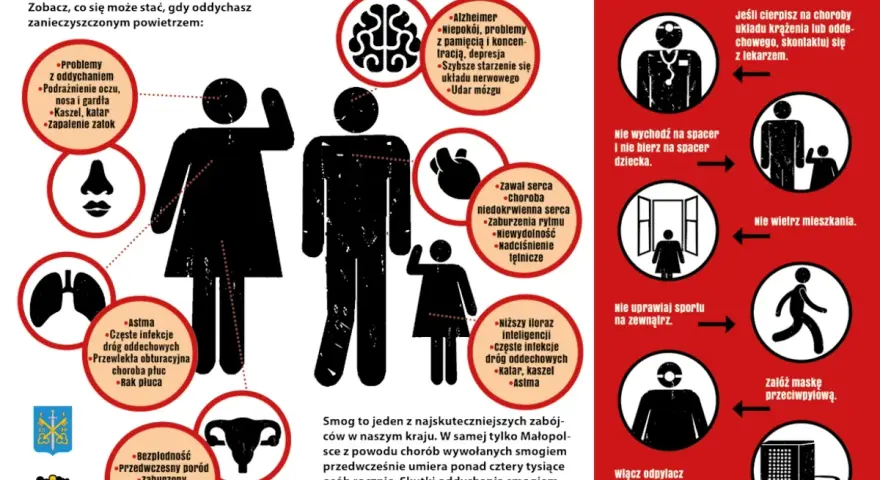 Smog: Cichy wróg Twojego zdrowia. Jak się chronić?