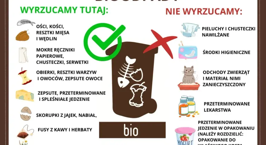 Gdzie wyrzucać resztki jedzenia? Do bio trafiają kości, obierki, fusy, zepsute jedzenie. Nie wyrzucaj pieluch, środków higienicznych ani odchodów zwierząt.