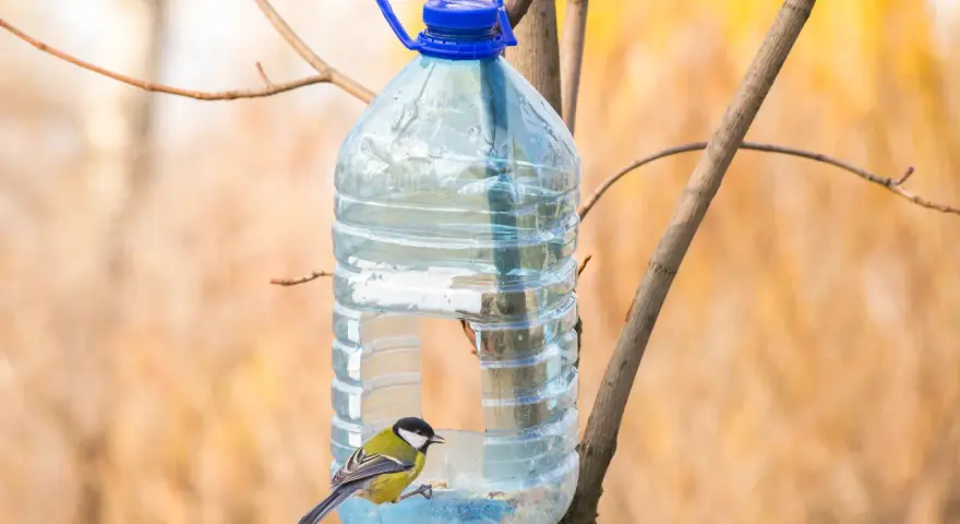 Twoje śmieci = ptasi skarb! Karmnik z recyklingu DIY krok po kroku