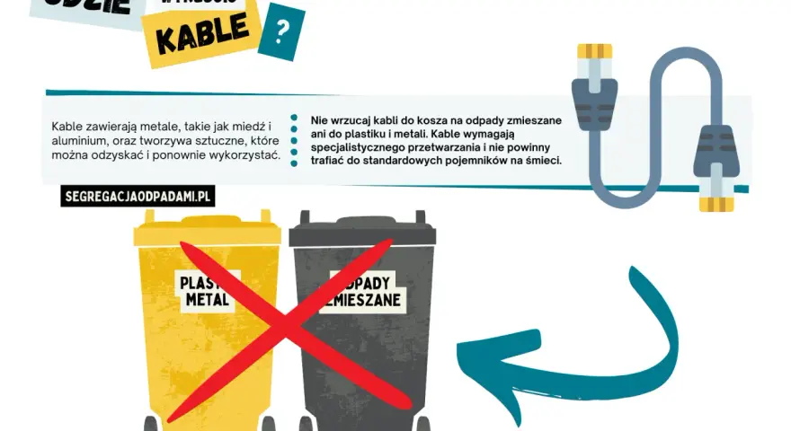 Kable to elektrośmieci? Sprawdź, gdzie oddać i ile zarobisz!