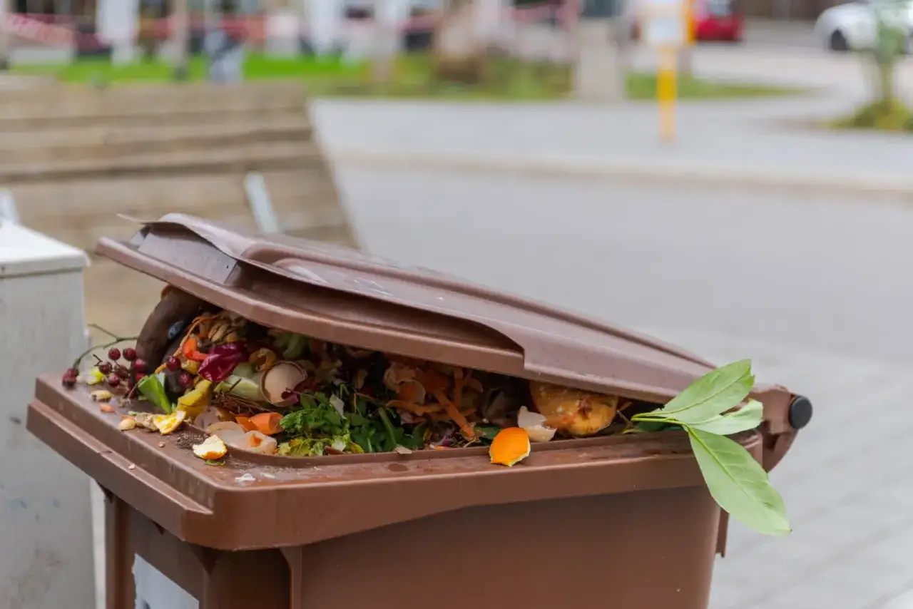 Brązowy kosz na odpady organiczne, pełen resztek warzyw, owoców i skorupek. Idealne miejsce, gdzie wyrzucić skorupki po orzechach, by trafiły do kompostu.