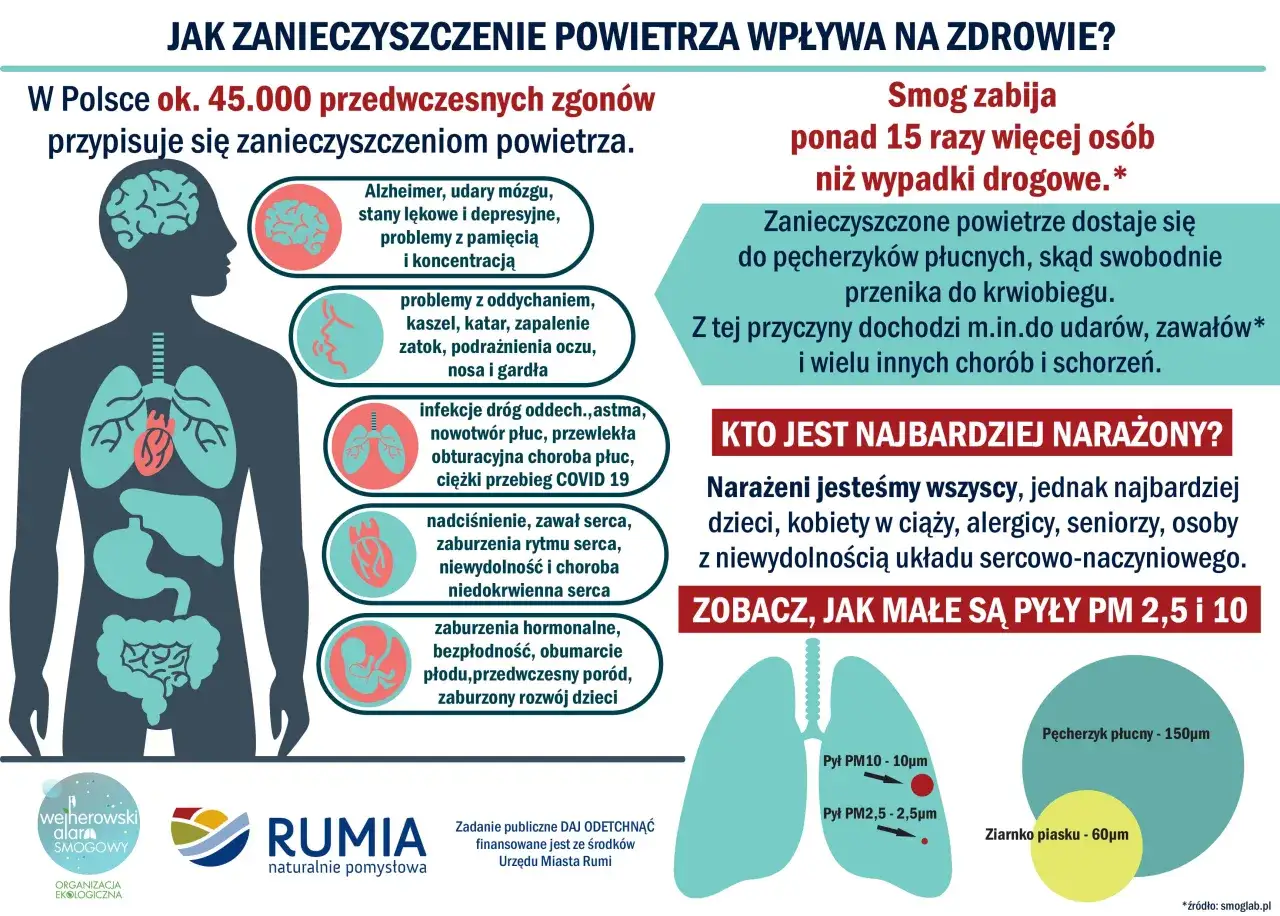 Wpływ smogu na zdrowie człowieka, płuca serce