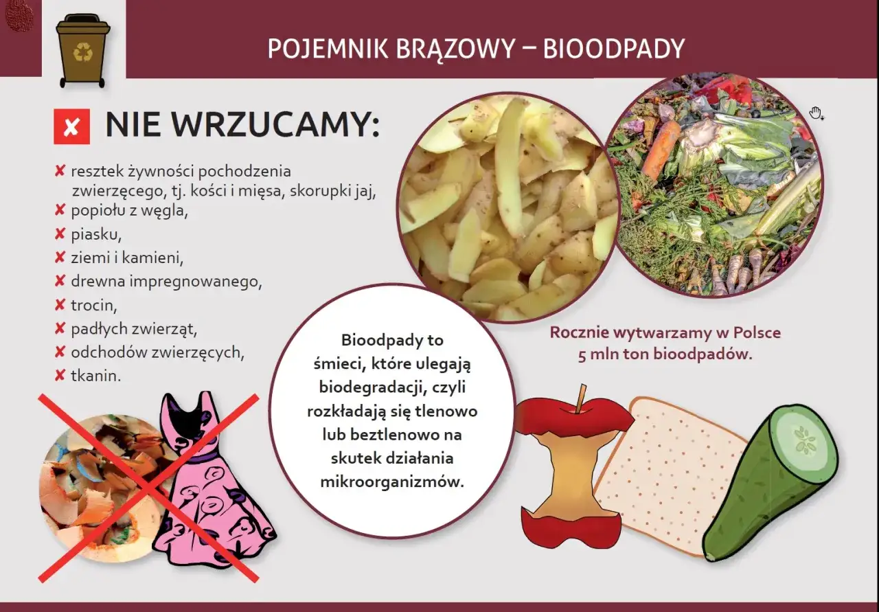Co wrzucać do pojemnika BIO