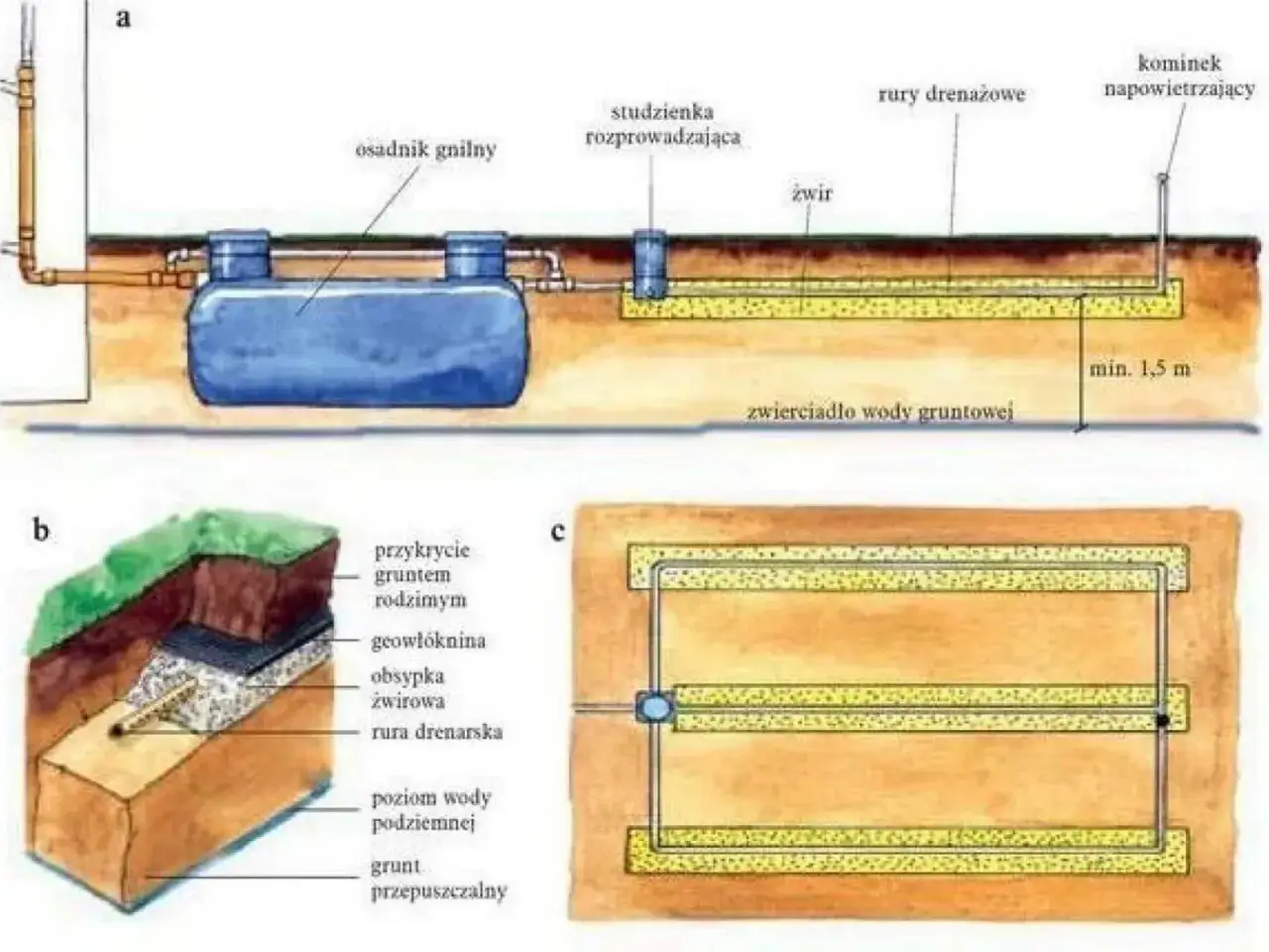 Schemat drenażu szamba betonowego: osadnik gnilny, studzienka rozprowadzająca, rury drenażowe, żwir, kominek napowietrzający.