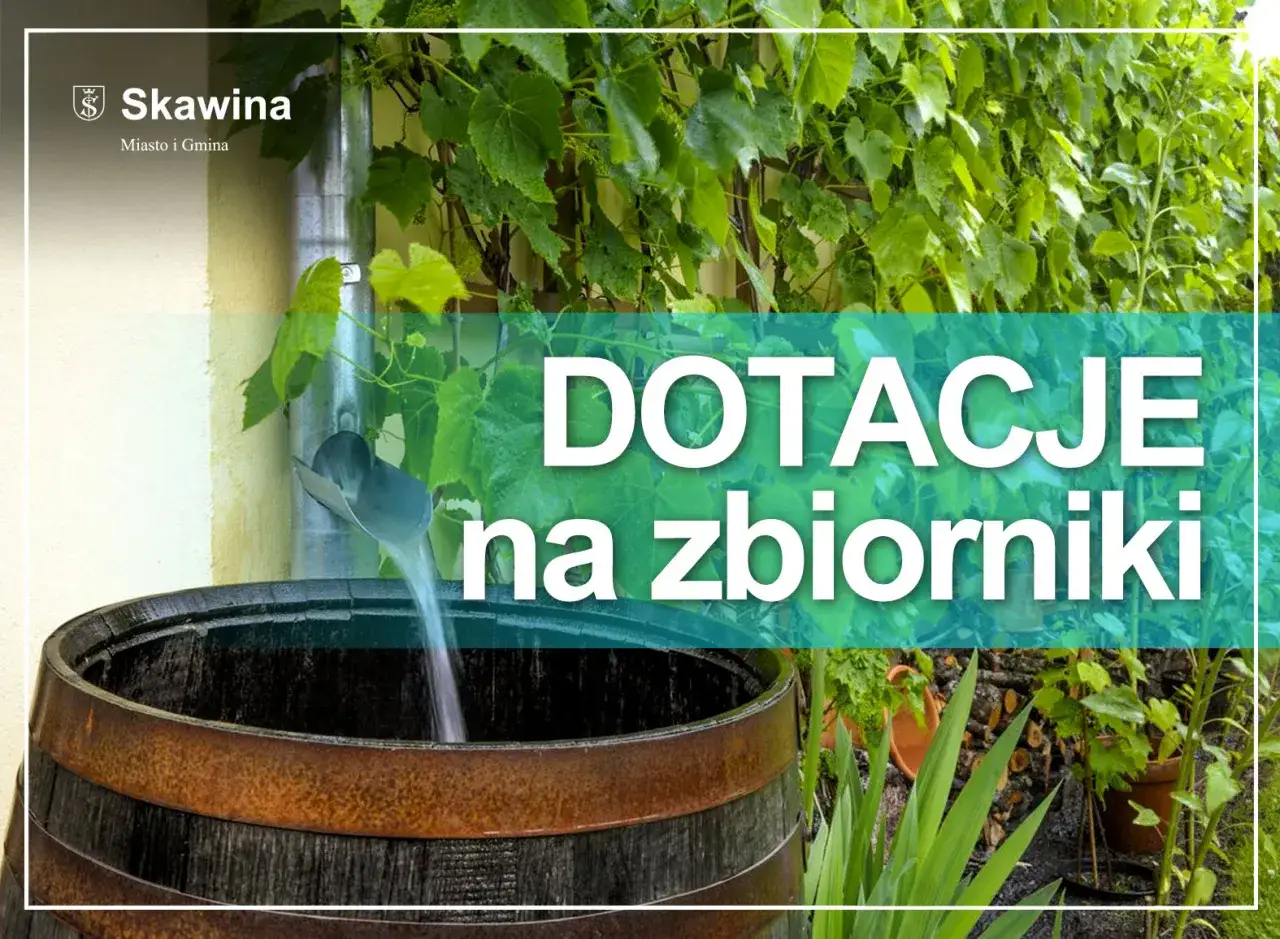 Woda opadowa spływa rynną do beczki. Dotacje na zbiorniki pomogą gromadzić deszczówkę.