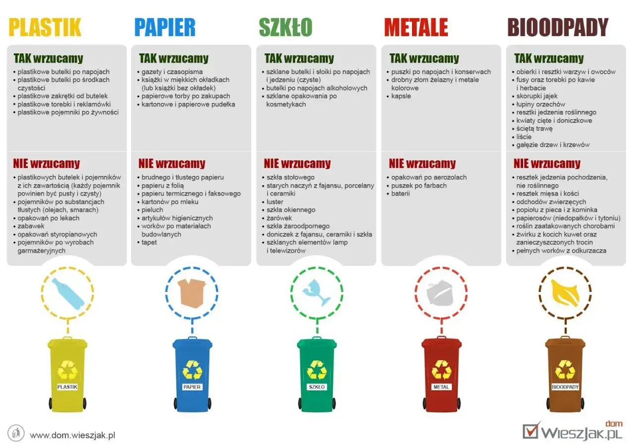 Plastik, papier, szkło, metale, bioodpady – prawidłowa segregacja odpadów to podstawa. Zobacz, co wrzucać do poszczególnych pojemników.