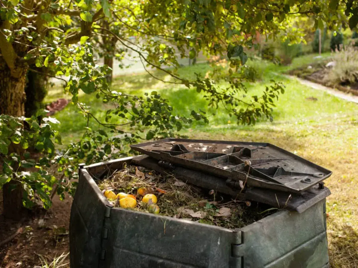 Kompostownik z resztkami organicznymi, jabłkami i trawą. To idealne miejsce na odpady zielone, kod odpadu 20 02 01, w ogrodzie.
